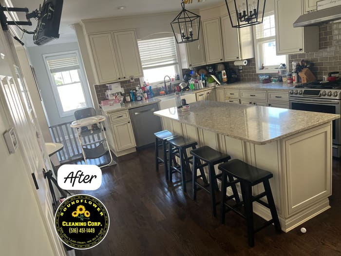 After — Kitchen deep clean — island, counters and appliances