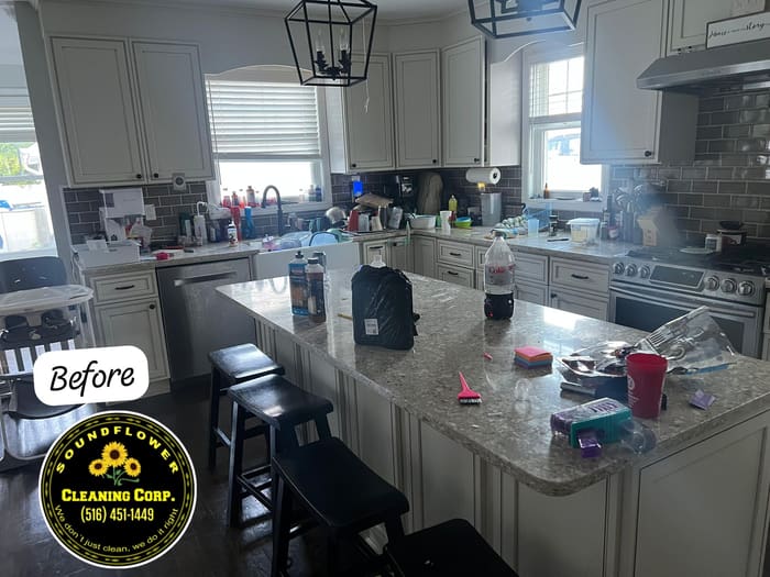 Before — Kitchen deep clean — island, counters and appliances