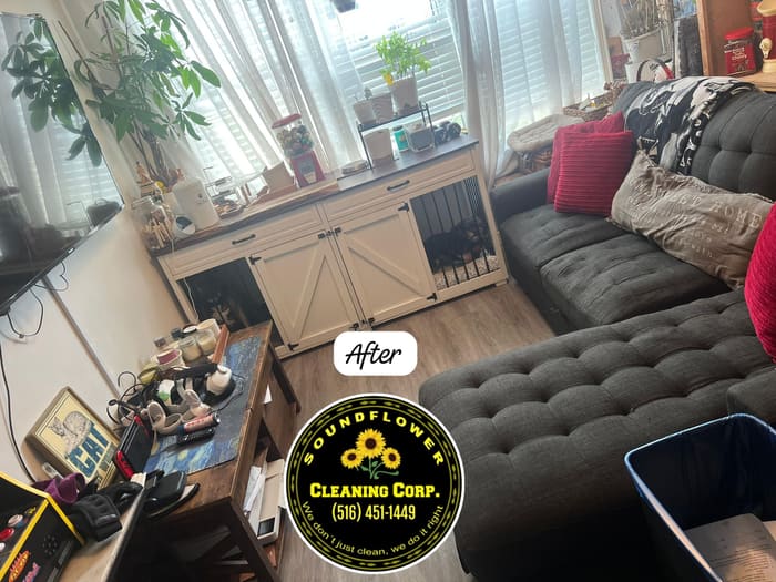 After — Apartment living room — declutter and deep clean
