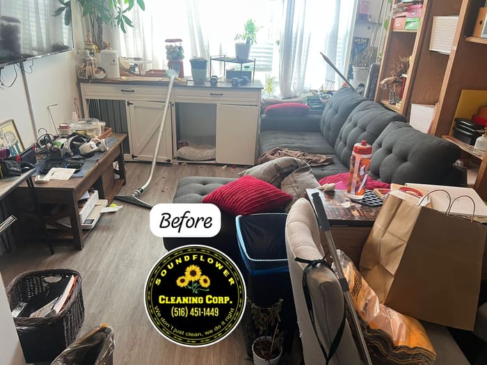 Before — Apartment living room — declutter and deep clean