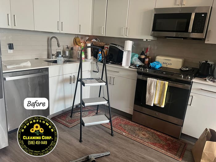 Before — Apartment kitchen — post-renovation clean